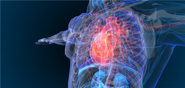 Alles rund ums Herz wird vom 4. bis zum 6. März beim Kongress der US-Kardiologen thematisiert werden.