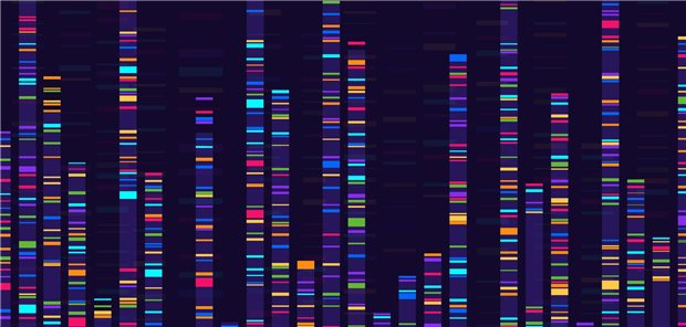 Analyse des Genoms