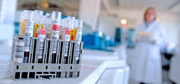 Steht ein Grundrecht auf der Kippe? Blut für den Test: In Sachsen-Anhalt sorgt ein neues Gesetz für Aufregung.