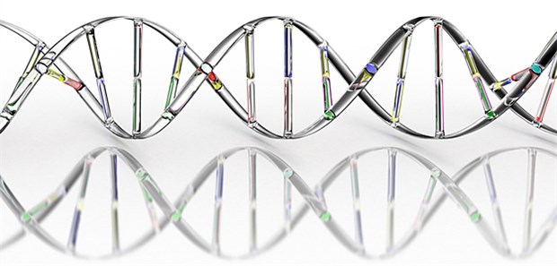 Forscher wollen Ärzten 'Krebs-Navi' bieten DNA-Helix im Blick: Aus der Analyse des Krebsgenoms erhoffen sich Wissenschaftler Informationen, die in kürzester Zeit präzise Diagnosen und individuelle Therapievorschläge ermöglichen.