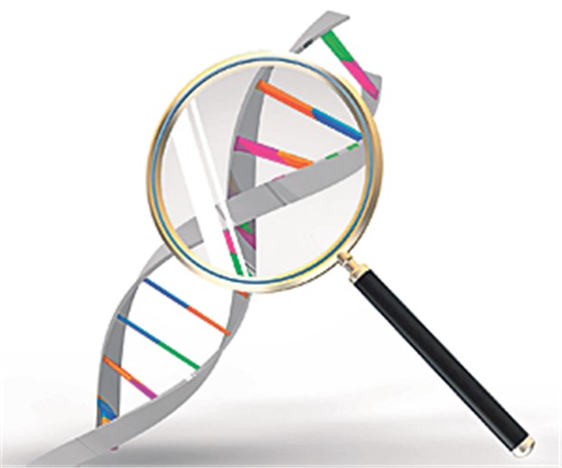 Zukunft der Krebsmedizin DNA: Reichen bald 15 Minuten für die Genom-Sequenzierung?
