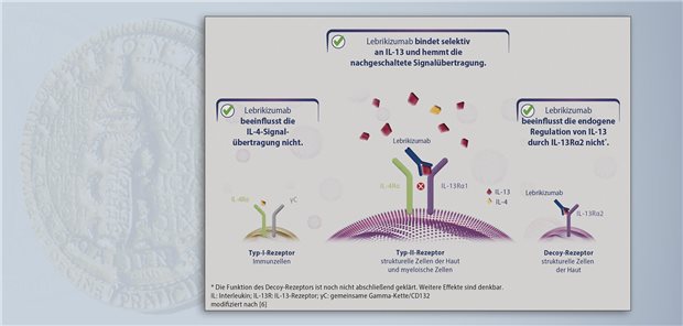 Ebglyss – IL-13-Antikörper hemmt die Typ-2-Inflammation bei atopischer Dermatitis Der Anti-IL-13-Antikörper Lebrikizumab verhindert die Bildung des heterodimeren Rezeptor-Signalkomplexes aus IL-13R1 und IL-4R und hemmt damit die der atopischen Dermatitis zugrunde liegende Typ-2-Inflammation.  Almirall Hermal GmbH