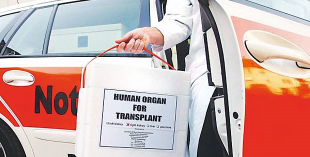 Risse im schönen Organspende-Konsens Der Transport von Spenderorganen ist gut organisiert. Was fehlt, sind ausreichend viele Organe.