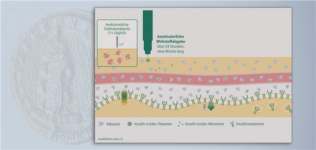 Awiqli® – Erstes Wocheninsulin für eine vereinfachte Therapie bei Diabetes mellitus Durch Modifikation von Humaninsulin wird eine starke Bindung von Insulin icodec an Albumin erreicht. Albumin wird zu einer Art natürlichem Insulinspeicher, das in den Zielgeweben nach und nach Insulin abgibt.  Novo Nordisk Pharma GmbH