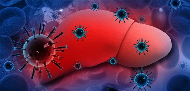 Durch die aktuellen Daten zu gestiegenen HBV- und HCV-Diagnosen sehen Dr. Dietrich Hüppe, Professor Heiner Wedemeyer und Professor Markus Cornberg bestätigt, dass ein Screening auf Hepatitis B und C nicht nur auf Risikogruppen beschränkt sein sollte.&#xA;