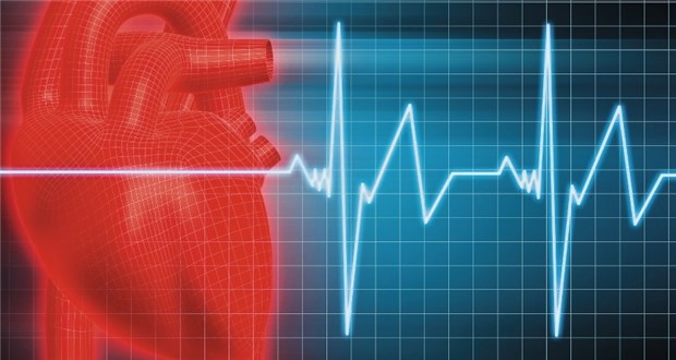 Mit Antirheumatika seltener Herzinfarkt Ein gesundes Herz - möglicherweise beugen manche Antirheumatika einem Infarkt vor.