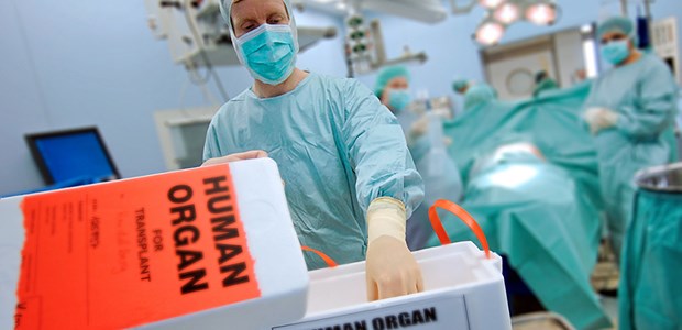 BÄK-Richtlinien sollen unter die Lupe Ein neues Organ wartet auf seinen Einsatz: Die Richtlinien für die Transplantation sollen künftig strenger kontrolliert werden.