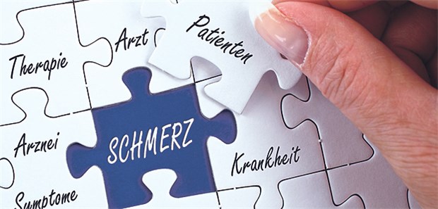 Schmerzen online aufzeichnen Für eine gute Versorgung von Schmerzpatienten müssen alle Teile zusammenpassen
