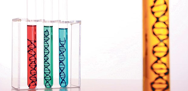 Lösen urzeitliche Viren Multiple Sklerose aus? Immerhin acht Prozent des menschlichen Erbguts bestehen nach Schätzungen aus archaischer viraler DNA.