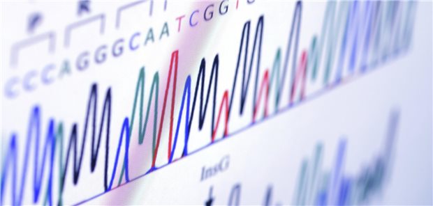 Ist bei einer Erbkrankheit bekannt, welche Gene relevant sind, ist potentiell eine Risikostratifizierung mittels Genanalyse möglich.