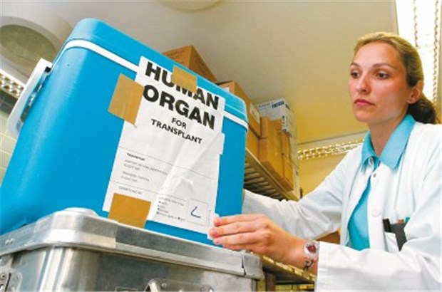 Beim Thema Organspende sehen Experten vor allem die Krankenhäuser in der Pflicht Mangelware: Allein in Deutschland warten rund 12 000 Menschen auf ein Spenderorgan.
