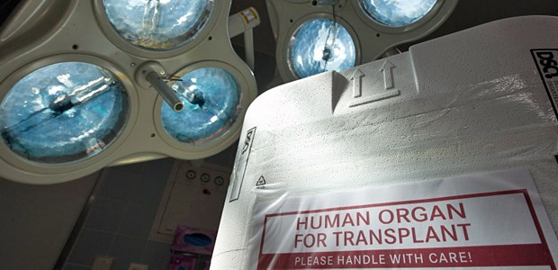 Die nächste Reform steht Mehr Licht für die Organspende: Die Fraktionen haben sich auf eine erneute Reform des Transplantationsgesetzes geeinigt.