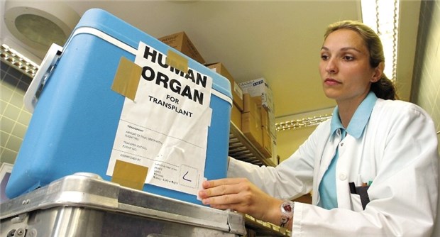 Organspenden sollen sicherer werden Mindeststandards bei Qualität und Sicherheit von Organtransplantationen - die soll es in der EU bald geben.