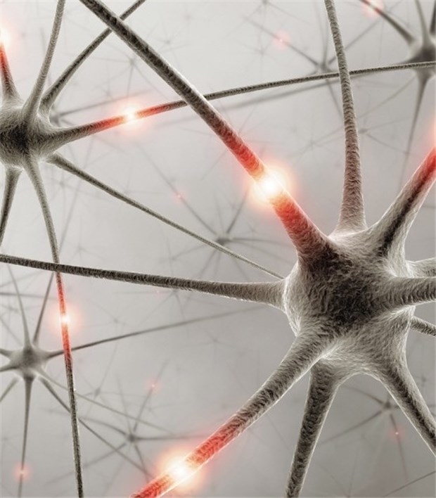 Renaissance der Elektrokrampftherapie - Stromstöße helfen nicht nur Depressiven Modell der Signalübertragung im Gehirn.