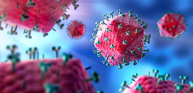 Mit HIV-Selbsttest gegen die Ausbreitung Modell von HI-Viren: Mit einem Speicheltest lässt sich die Infektion abklären.