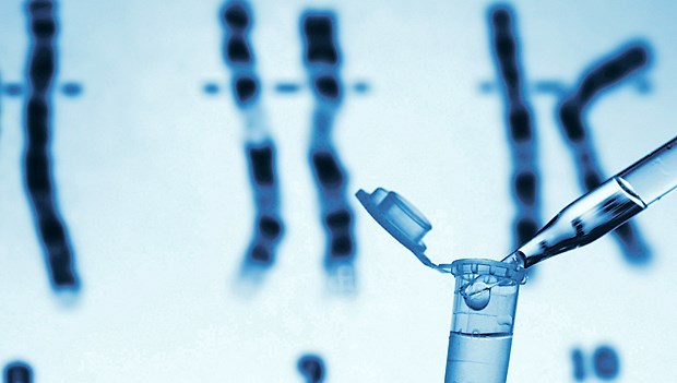 Neue Erfolge in der Pränataldiagnostik Moderne Sequenzierung verfeinert Diagnostik beim Feten.