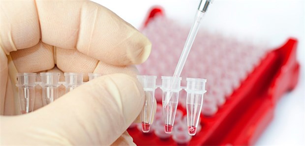 Ist der Schlüssel zur HIV-Impfung gefunden? Signale, die Tfh-Zellen aussenden, könnten die gezielte Entwicklung eines Impfstoffes ermöglichen.
