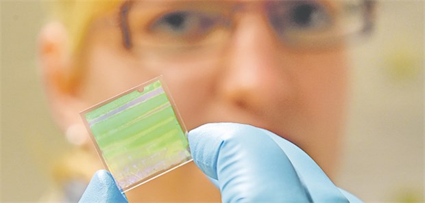 Mittels Chip Krankheiten schneller erkennen Unscheinbares Plastikplättchen: Der Labor-Chip soll einmal bis zu 100 Biomarker nachweisen können.