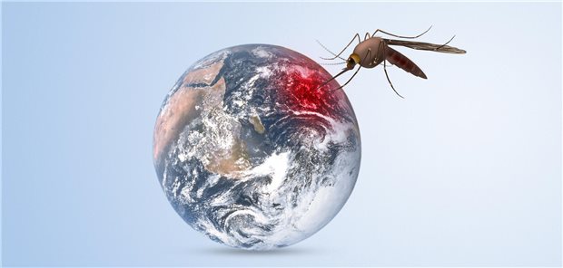 Wo werden Anopheles-Mücken in Zukunft gute Bedingungen für ihre Larven finden? Die Verbreitungsregionen werden sich wohl verändern. (Symbolbild)