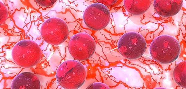 Bakterien beeinflussen Hautbarriere bei Neurodermitis §-D-Illustration von Staphylococcus aureus: Der Erreger verdrängt wohl andere Staphylokokken bei Neurodermitis-Patienten.