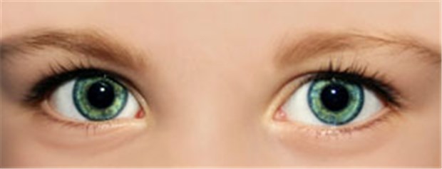 Gentherapie: Erste Erfolge bei erblicher Netzhauterkrankung © Doreen Salcher / fotolia.com