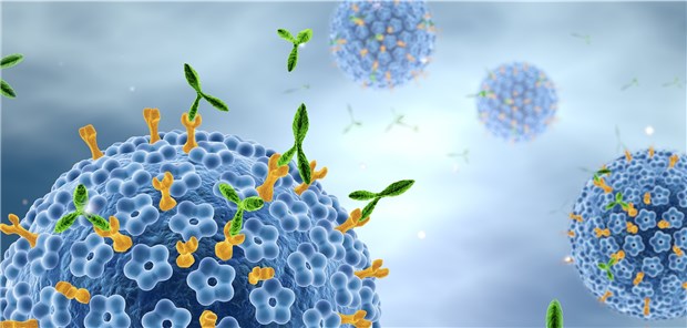  Humane Papilloma-Viren: In ihrer Analyse fanden die Forscher nur bereits bekannte Erreger, jedoch keine neuen mit Krebs assoziierten Erreger.