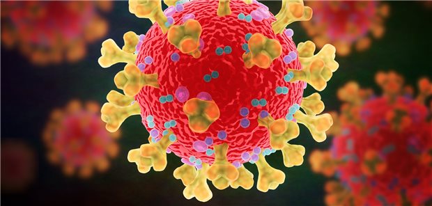 Corona-Mutationen: Infektiologe warnt vor frühen Lockdown-Lockerungen Vom Coronavirus sind viele Mutationen bekannt – Sorge bereiten derzeit jedoch vor allem die Mutanten, die zuerst in Großbritannien entdeckt wurden. Die aktuellen Mutationen erleichtern es dem Erreger, über den Rezeptor ACE2 in die Zielzellen einzutreten.