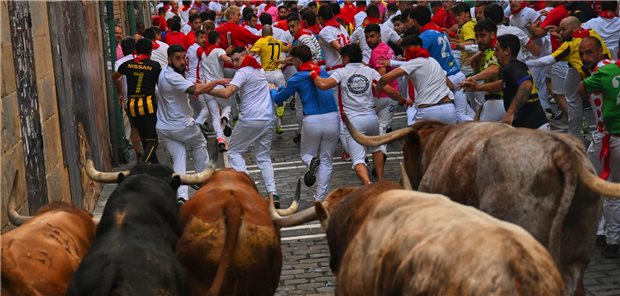 10.07.2025, Spanien, Pamplona: Teilnehmer treiben die Stiere der Victoriano del Río Cortés Ranch am vierten Tag der Sanfermín-Festlichkeiten durch die Innenstadt. Foto: Miguel Oses/AP/dpa +++ dpa-Bildfunk +++