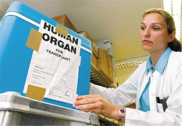 Spenderorgane noch rar 12 000 Menschen warten in Deutschland jährlich auf ein lebenswichtiges Spenderorgan. Doch die Zahl der Organe reicht nicht aus.