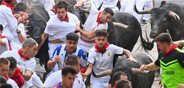 14.07.2025, Spanien, Pamplona: Männer laufen während des letzten Stiertreibens beim San-Fermín-Festival neben den Kampfstieren von Miura her. Foto: Miguel Oses/AP/dpa +++ dpa-Bildfunk +++