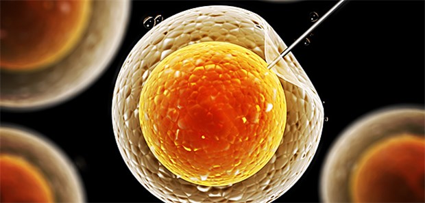 Forscher fordern Stopp für Crispr & Co. 18 Wissenschaftler aus sieben Ländern haben jetzt ein weltweit geltendes Moratorium und ein internationales Rahmenwerk für die Keimbahntherapie vorschlagen.
