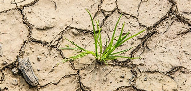 Klimawandel bedroht Millionen Menschen 2000 bis 2016 sind etwa 125 Millionen Menschen über 65 Jahre weltweit Hitzewellen ausgesetzt gewesen mit entsprechenden gesundheitlichen Folgen, etwa für das Herz-Kreislaufsystem.