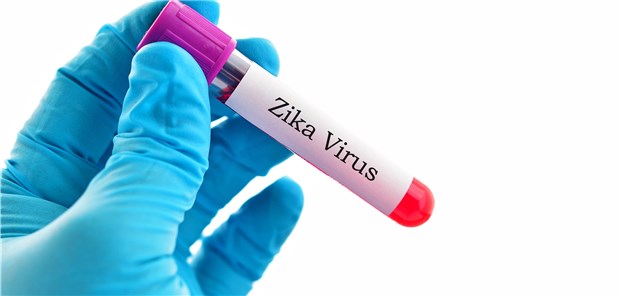 274 bestätigte Zika-Fälle gab es in Deutschland im Jahr 2017.