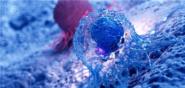 3-D-Modell der Anatomie einer Krebszelle. (Symbolbild)