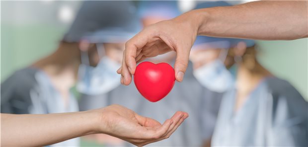 310 Herzen wurden im vergangenen Jahr postmortal entnommenen und gespendet. Das geht aus einer Statistik der Stiftung Organtransplantation (DSO) hervor.