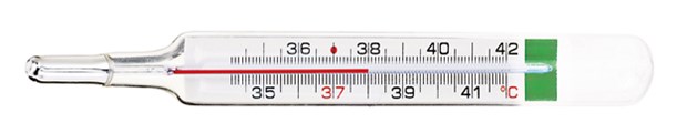 Warum eine rektale Fieber-Messung am besten ist 38 Grad Celsius.