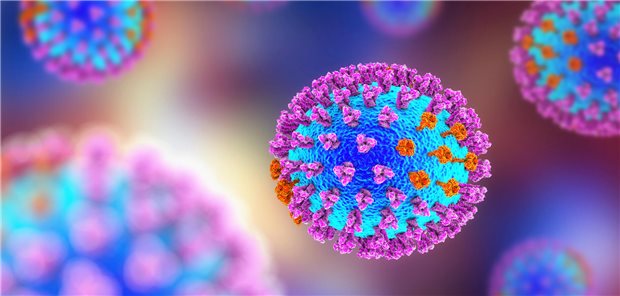 Immer mehr Grippefälle gemeldet – alle Altersgruppen betroffen 3D-Darstellung, Influenza-Viren: Oberflächenglykoproteine mit Hämagglutinin (lila) und Neuraminidase (orange).