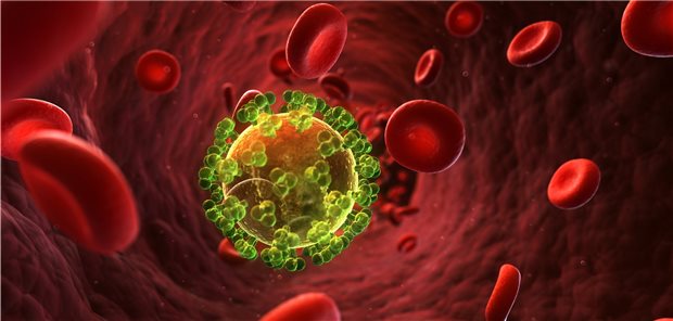 3D-Darstellung des HI-Virus in der Blutbahn.