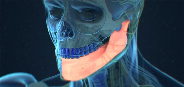 3D-Darstellung eines Unterkiefers: Lohnt sich eine prophylaktische Antibiotikabehandlung, wenn die Mandibula gebrochen ist? Ein US-Team hat eine Best-Practice Empfehlung erarbeitet.