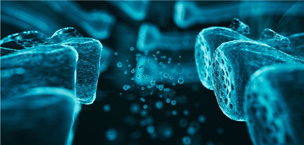 3D-Darstellung von Neuronen und Synapsen