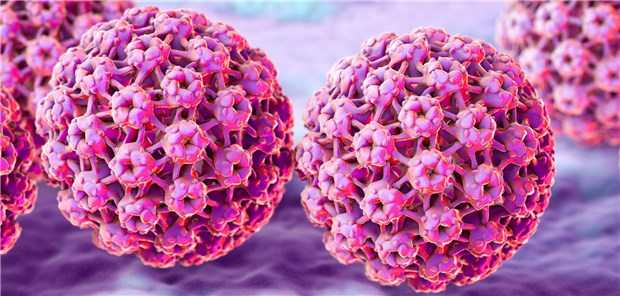 3D-Illustration Humaner Papillomviren (HPV).