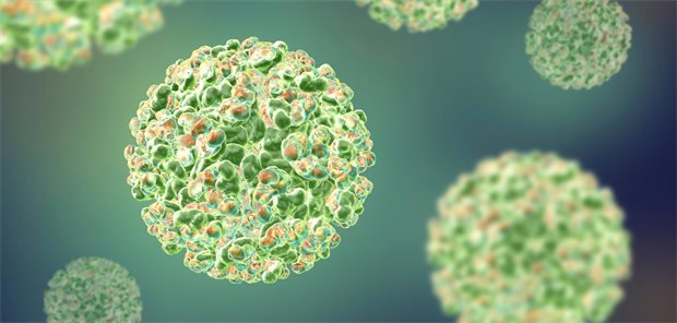 3D-Illustration eines Sindbis-Virus.