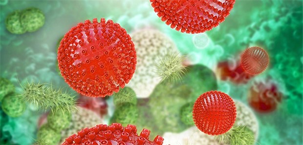 Die rätselhafte Enzephalitis-Patientin 3D-Modell eines Herpes-Virus: Wegen der Viruserkrankung war die Patienten ursprünglich in Behandlung.
