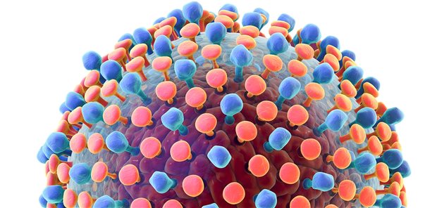 80% weniger neue Infektionen mit Hepatitis B und C und eine Reduktion der Mortalität um 65 Prozent bis 2030 – das ist das globale Ziel, das die WHO 2016 ausgerufen hat. Es ist möglich, diese Ziele zu erreichen, doch bislang ist der Fortschritt in den Ländern sehr variabel.