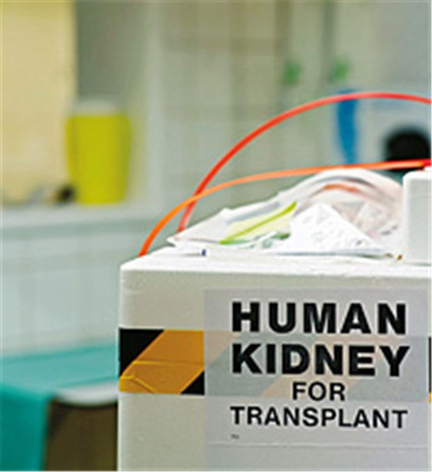 "Um den Erfolg bei Transplantationen zu erhöhen, ist ein neues Gesetz notwendig" 8000 Menschen in Deutschland brauchen eine neue Niere.