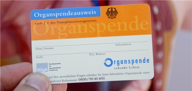 Zahl der Organspender bleibt stabil 913 Menschen spendeten im vergangenen Jahr in Deutschland nach ihrem Tod ein oder mehrere Organe.