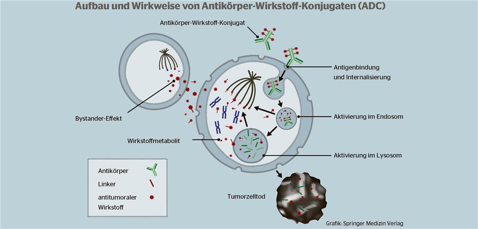 Antik rper Wirkstoff Konjugat Ein Lastwagen Mit Wirkstoffen