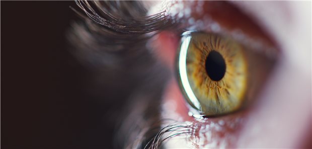 Therapie-Ansatz bei trockener Makuladegeneration entdeckt AMD im Blick: Bei der Augenerkrankung ist nun womöglich ein grundlegender Mechanismus entdeckt worden.