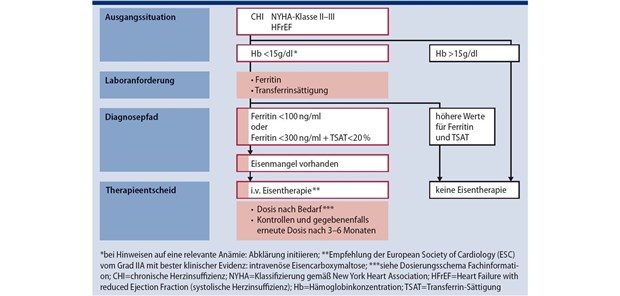 Eisen intravenös substituieren