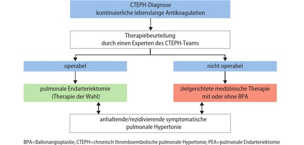 Abb. 1: Als Behandlungsmöglichkeiten für Patienten mit CTEPH kommen die PEA sowie eine medikamentöse Therapie und ggf. eine BPA infrage (modifiziert nach [3])